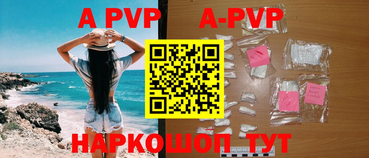 Alfa_PVP СК Гусев