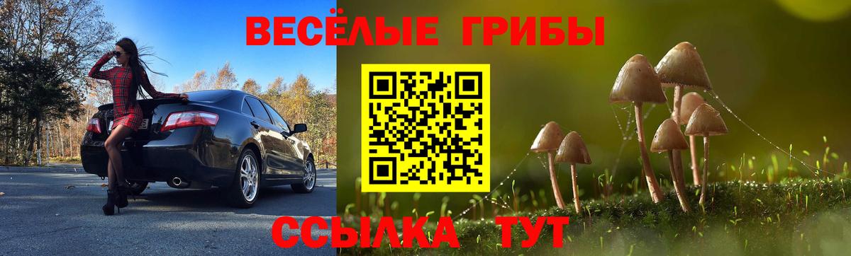 Галлюциногенные грибы прущие грибы Гусев